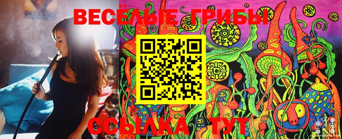 Галлюциногенные грибы Cubensis Ессентуки